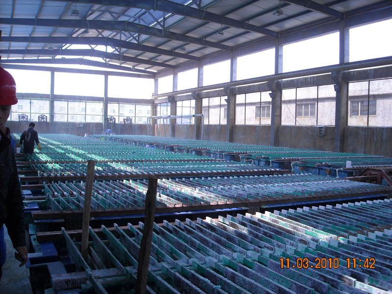 W020241121375649138300